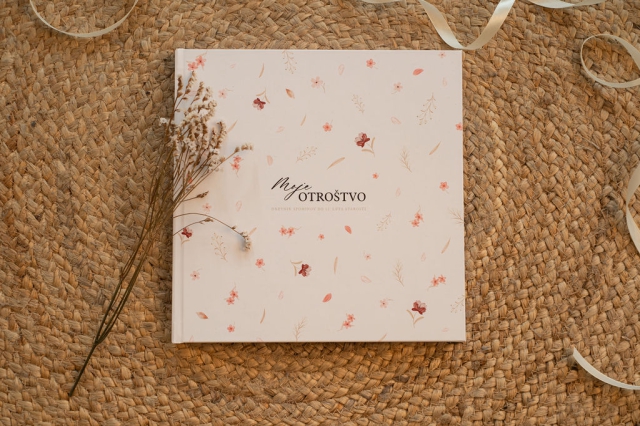 Dnevnik Moje otroštvo